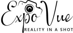 logo_small_light[1]